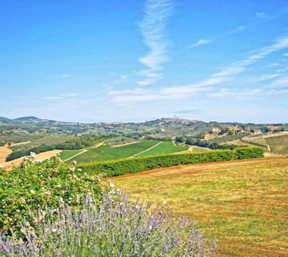 Agriturismo Fattoria Il Piano - Appartamento Lavanda - San Gimignano Luaran gambar