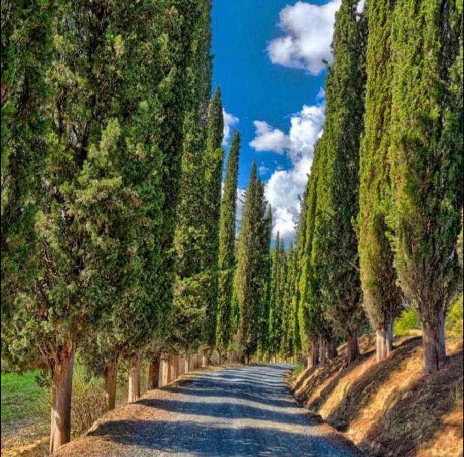 Agriturismo Fattoria Il Piano - Appartamento Lavanda - San Gimignano Luaran gambar