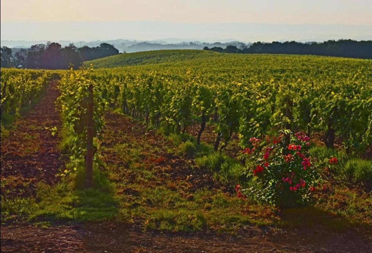 Agriturismo Fattoria Il Piano - Appartamento Lavanda - San Gimignano Luaran gambar