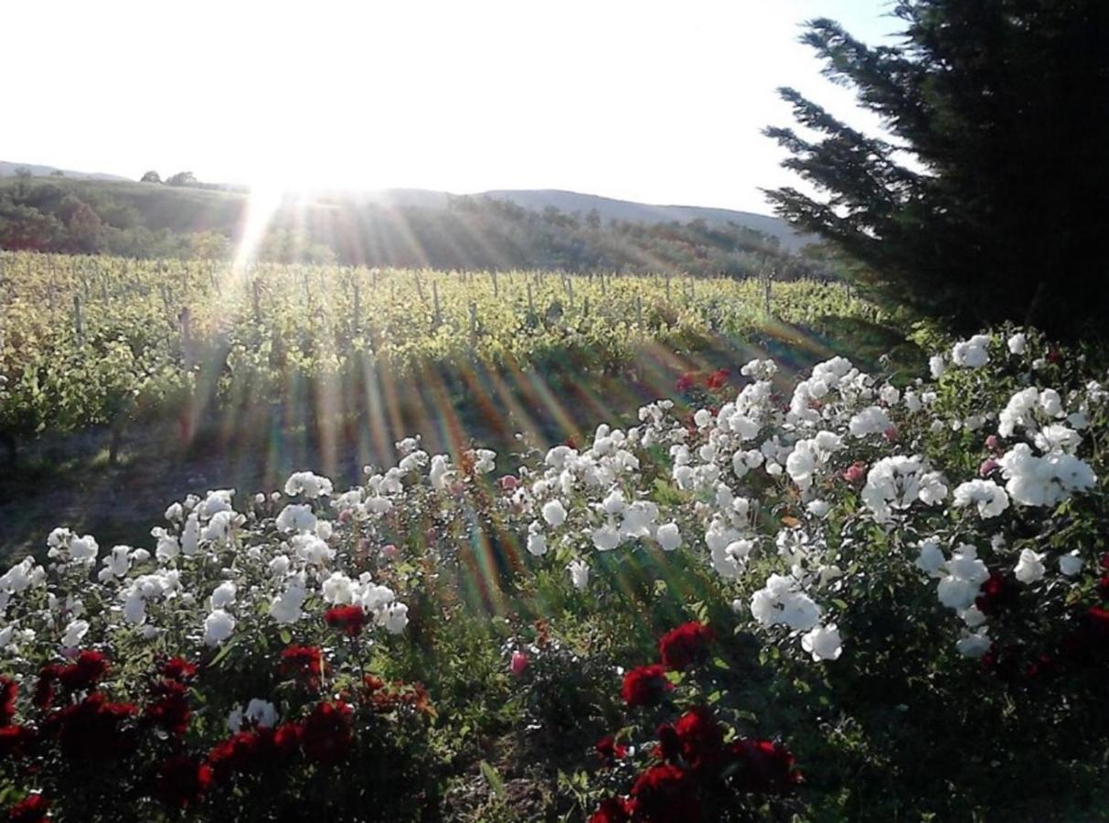 Agriturismo Fattoria Il Piano - Appartamento Lavanda - San Gimignano Luaran gambar