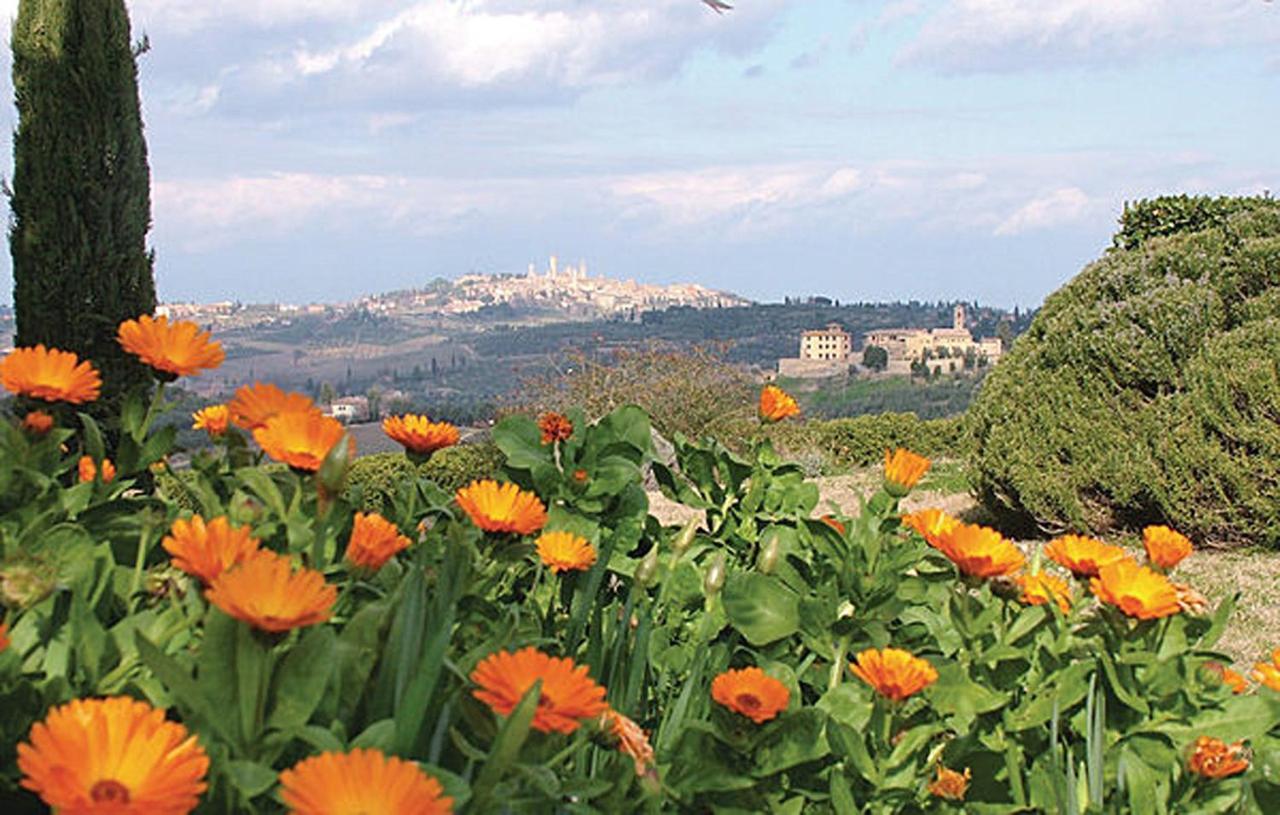 Agriturismo Fattoria Il Piano - Appartamento Lavanda - San Gimignano Luaran gambar